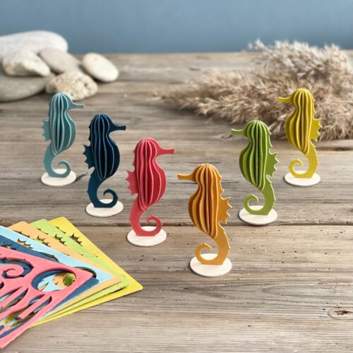 lovi seahorse colours